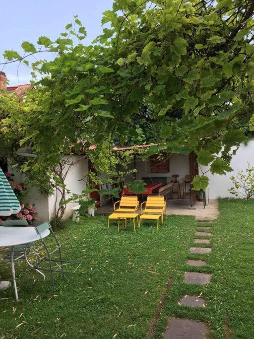 Appartement En Rez De Jardin Ciboure Zewnętrze zdjęcie
