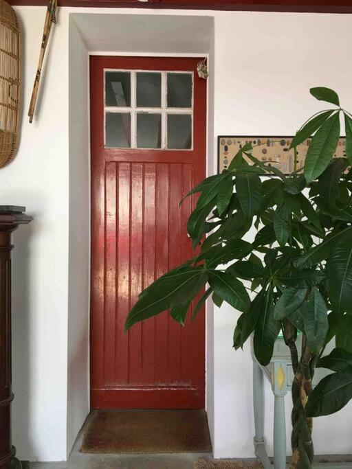 Appartement En Rez De Jardin Ciboure Zewnętrze zdjęcie